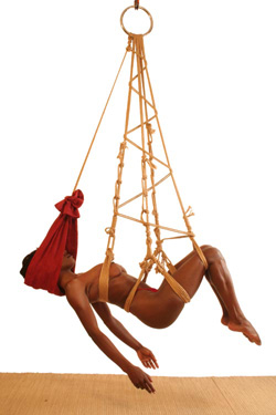 Shibari suspension